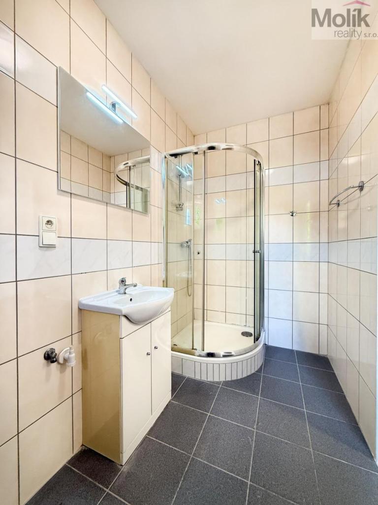Pronájem bytu 2+1 45 m2