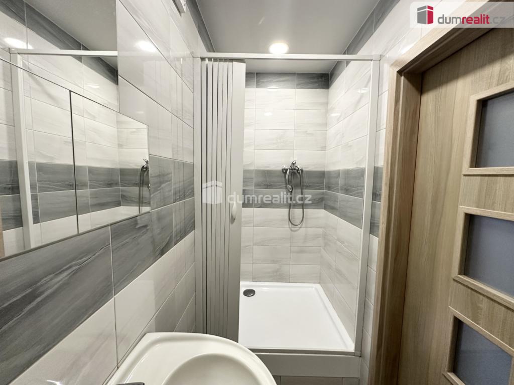 Pronájem bytu 1+1 53 m2