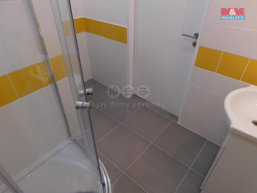 Pronajem bytu 2+kk 54 m2