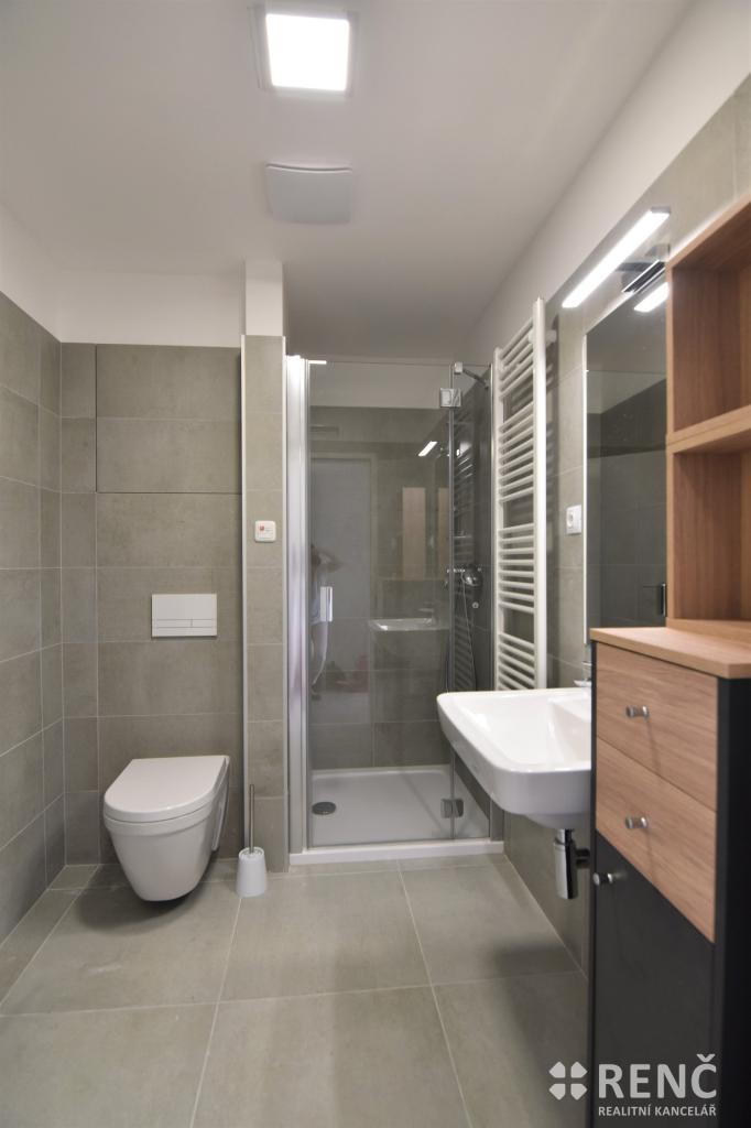 Pronájem bytu 1+kk 42 m2