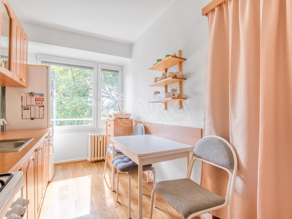 Pronájem bytu 3+1 55 m2