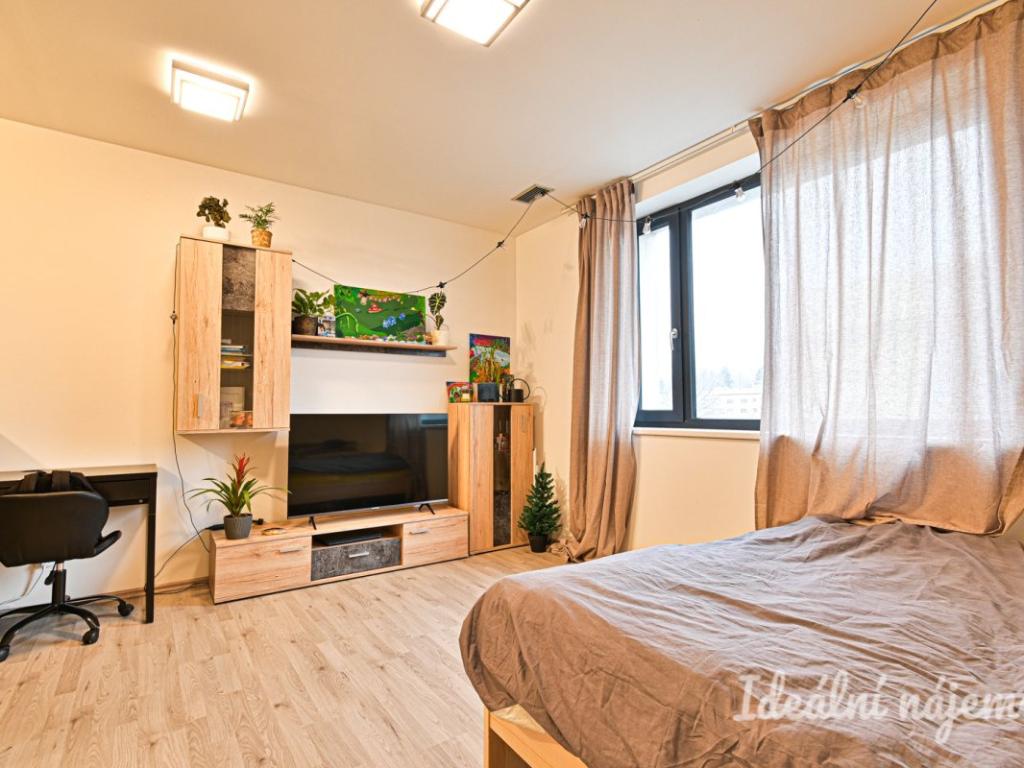 Pronájem bytu 1+kk 34 m2