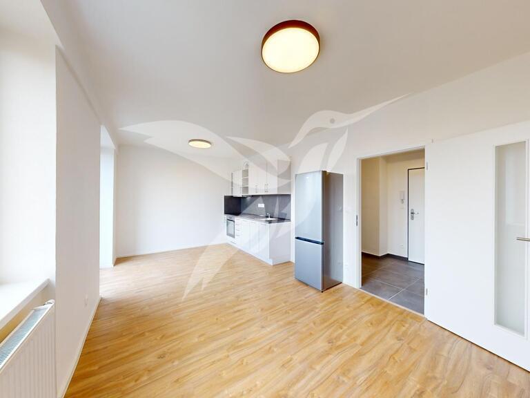 Pronájem bytu 2+kk 46 m² - Widok 4