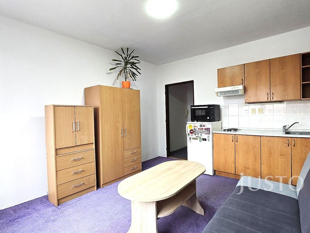 Pronájem bytu 1+kk 20 m2