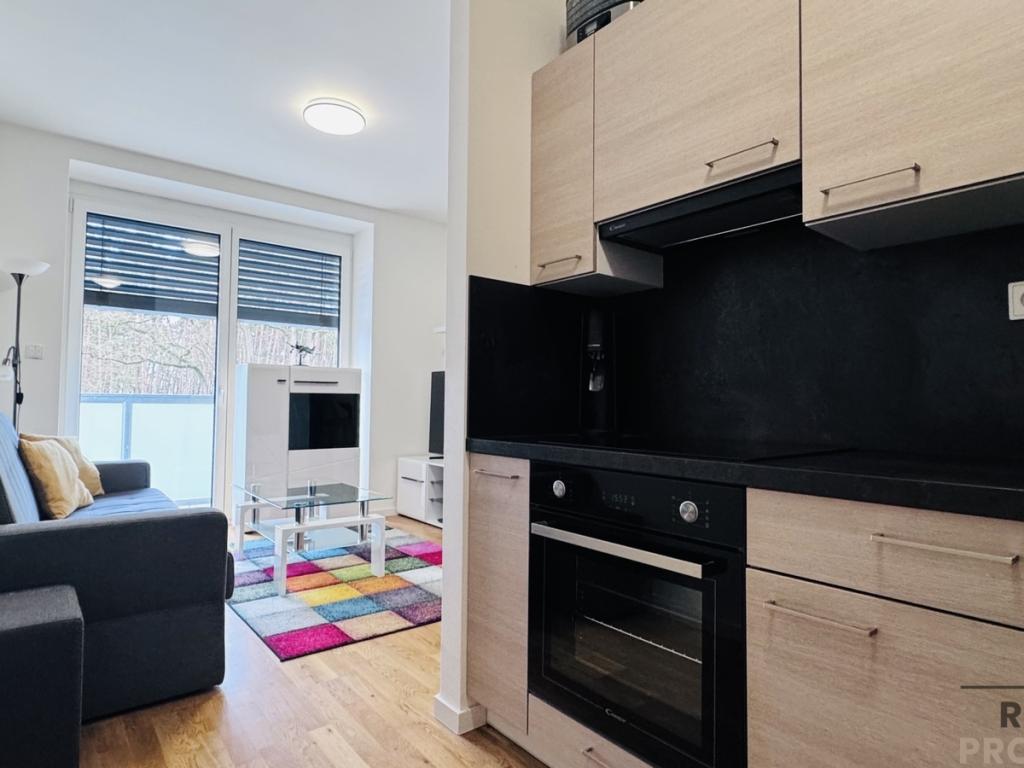 Pronájem bytu 1+kk 37 m2