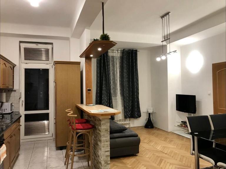 Pronajem bytu 1+1 60 m2