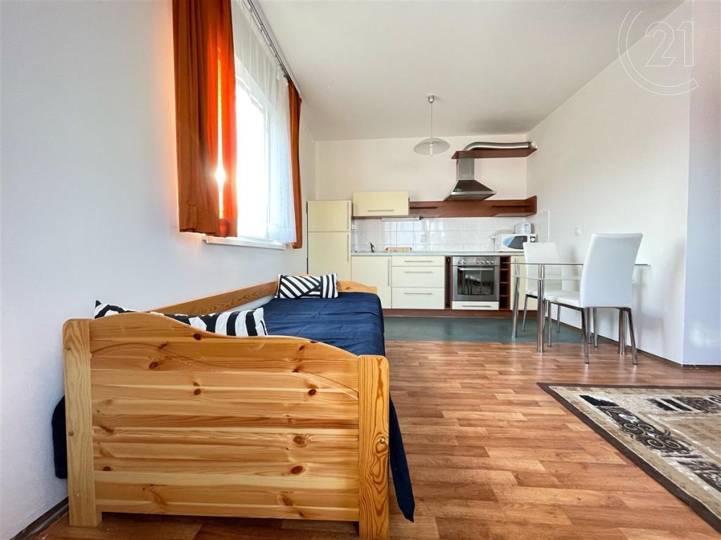 Pronájem bytu 1+kk 43 m2