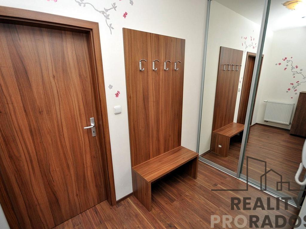 Pronájem bytu 1+kk 51 m2