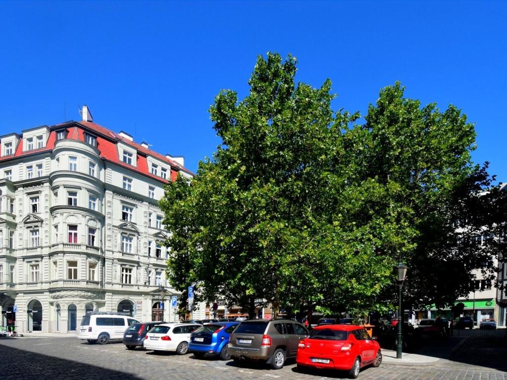 Pronájem bytu 1+1 37 m2