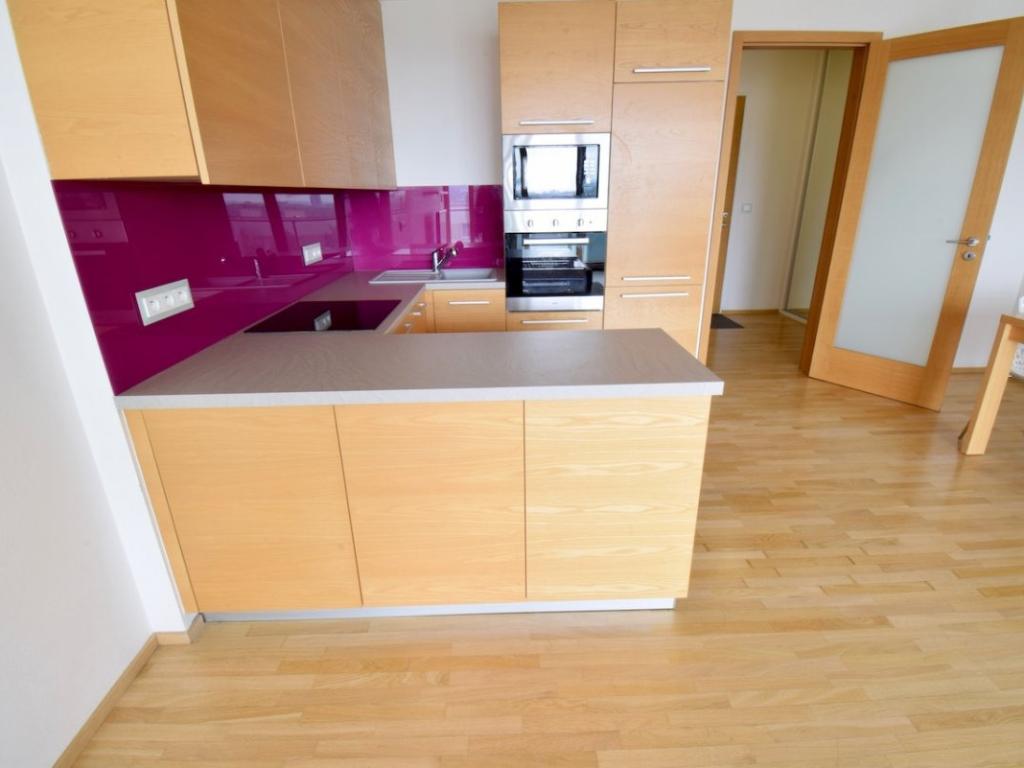 Pronájem bytu 1+kk 50 m2