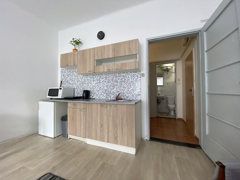Pronájem bytu 1+kk 36 m2