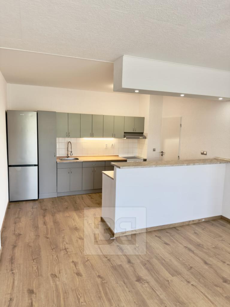 Pronájem bytu 2+kk 59 m2