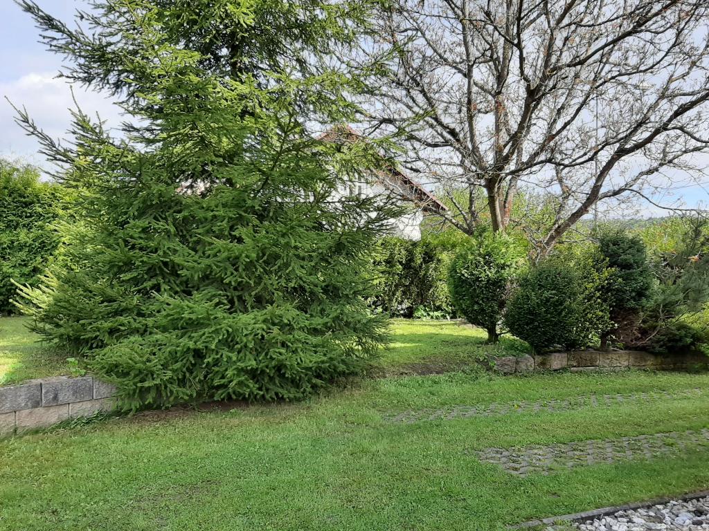 Pronajem bytu 2+kk 60 m2