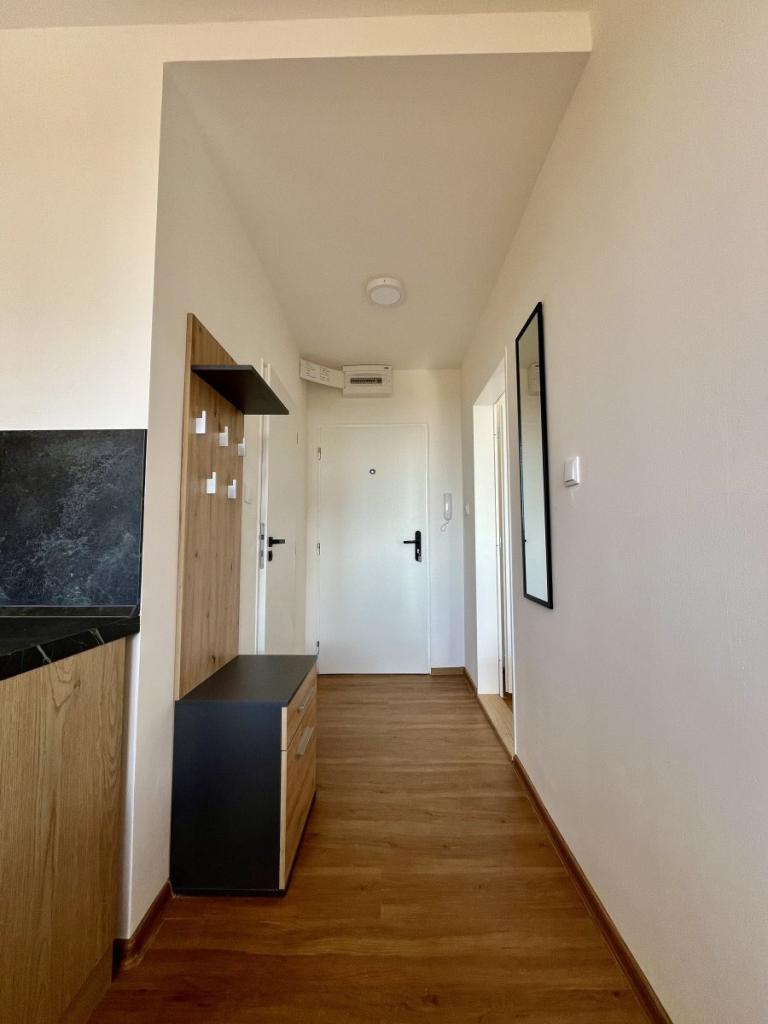 Pronájem bytu 1+1 38 m2