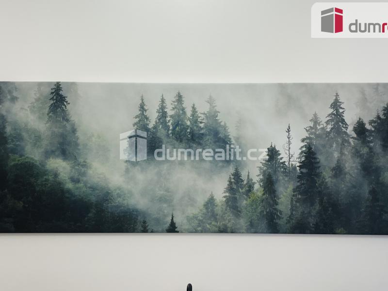 Prodej bytu 2+kk 48 m2, Abertamy – náhled fotky 15