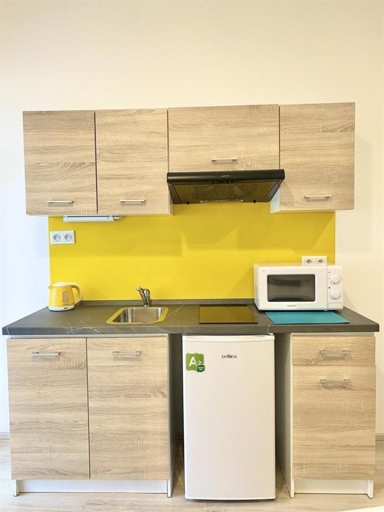 Pronájem bytu 1+kk 26 m2