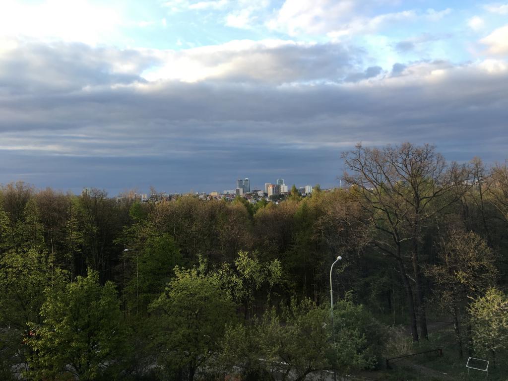 Spolubydleni bytu celý pokoj 85 m2