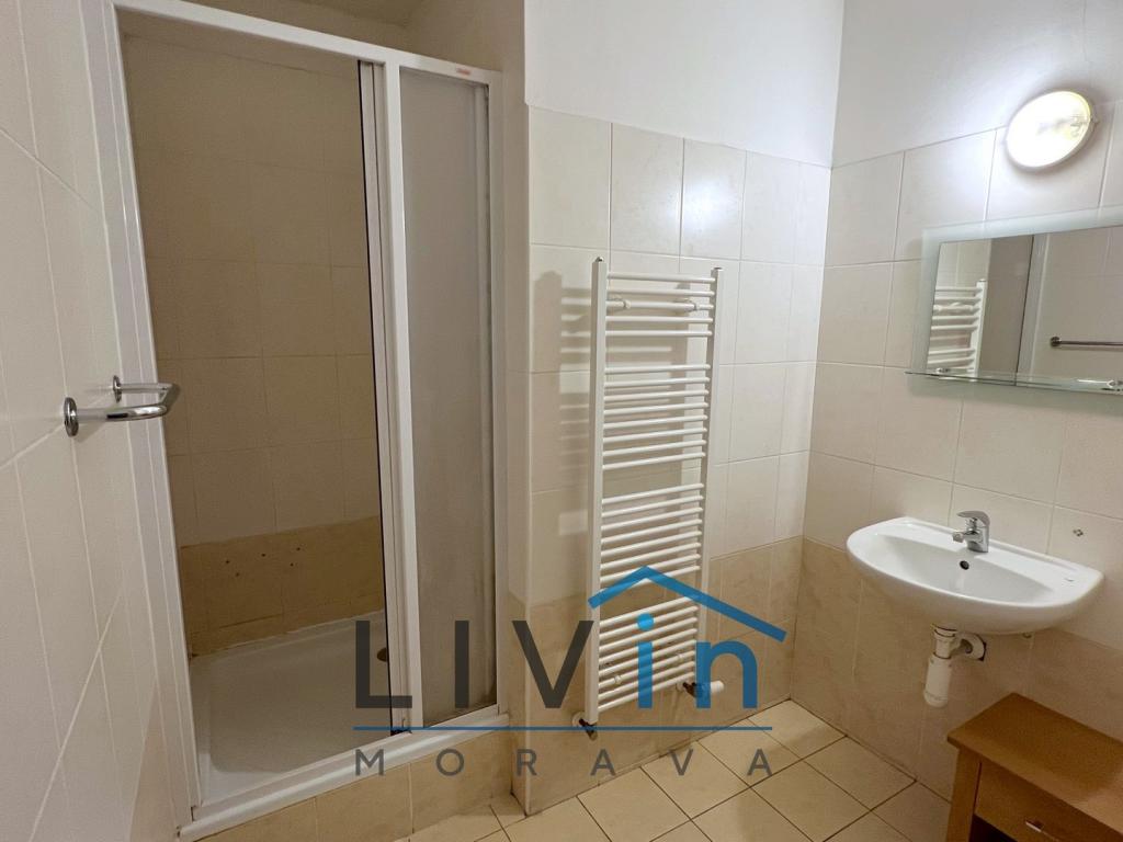 Pronájem bytu 1+kk 42 m2