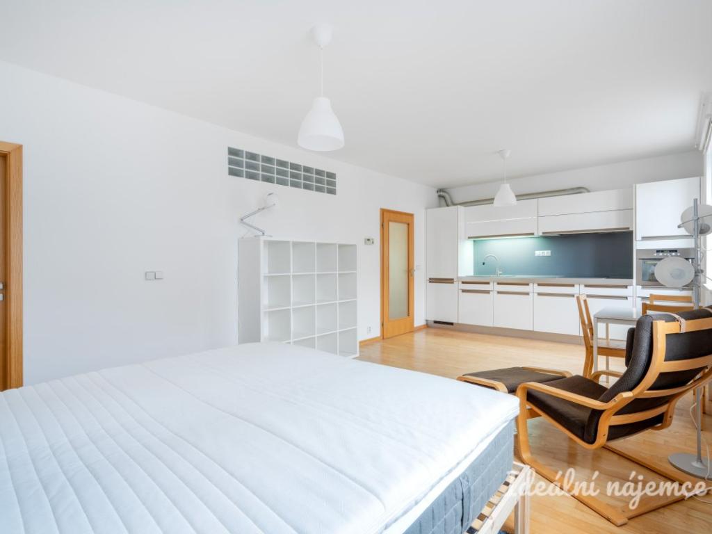Pronájem bytu 1+kk 40 m2