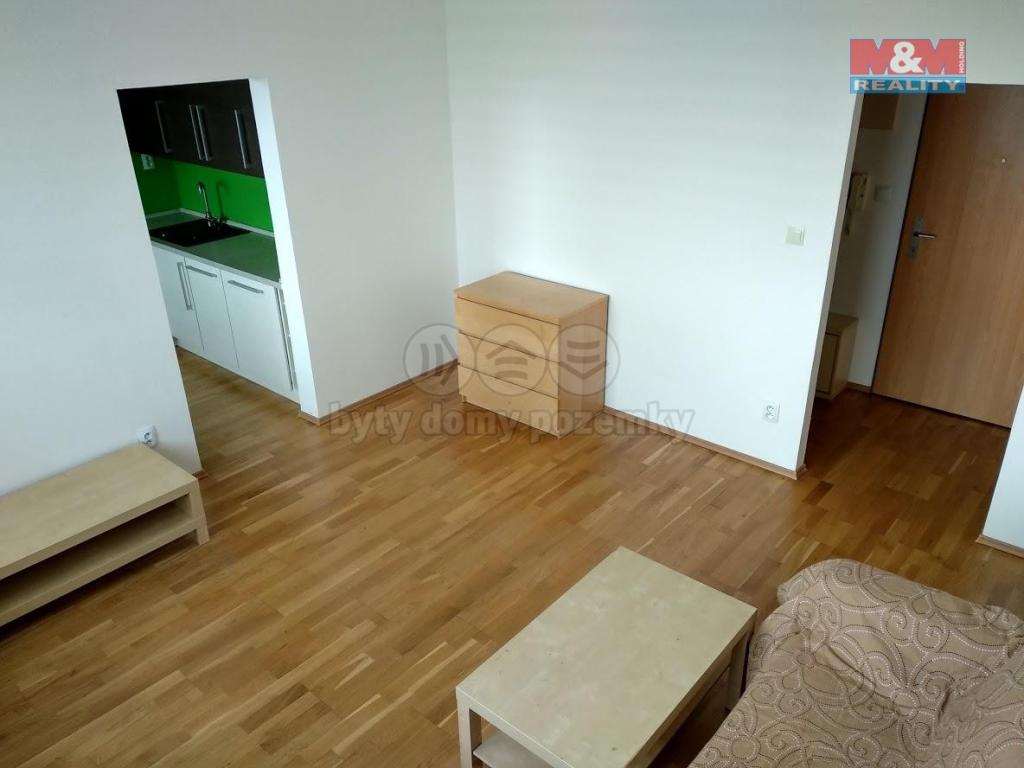 Pronajem bytu 2+1 45 m2