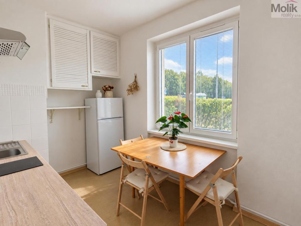 Pronájem bytu 2+1 49 m2