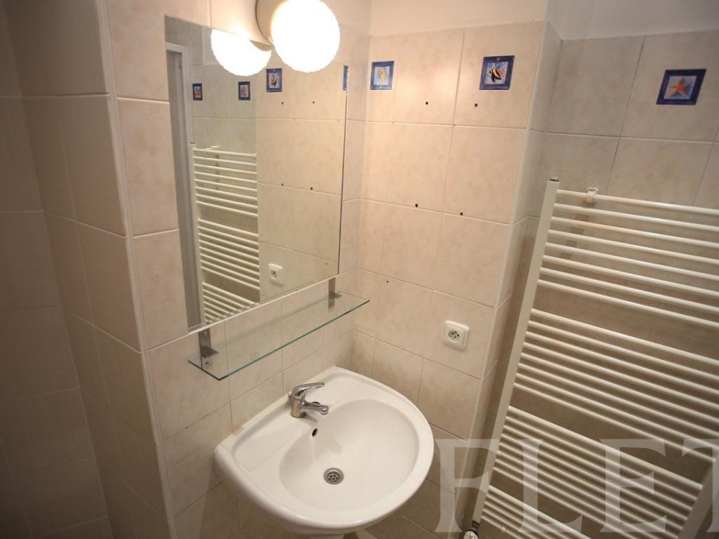 Pronájem bytu 1+1 50 m2, Praha – náhled fotky 12