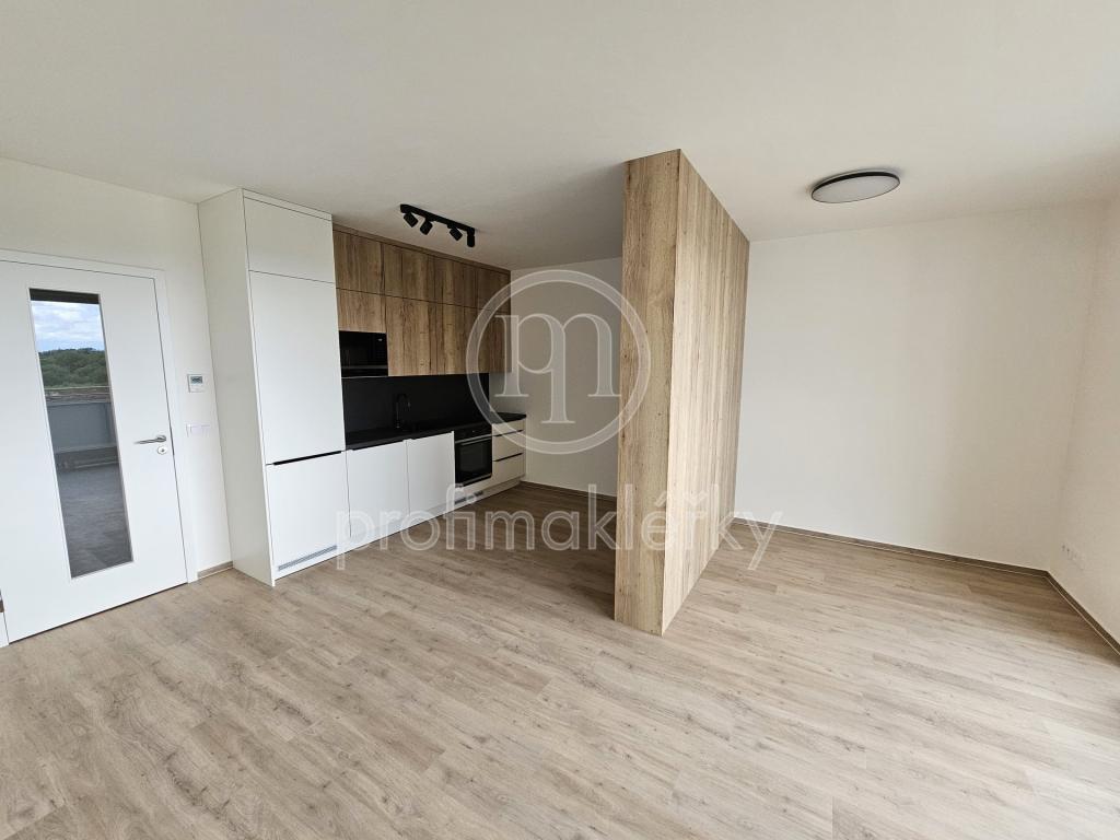 Pronájem bytu 1+kk 37 m2