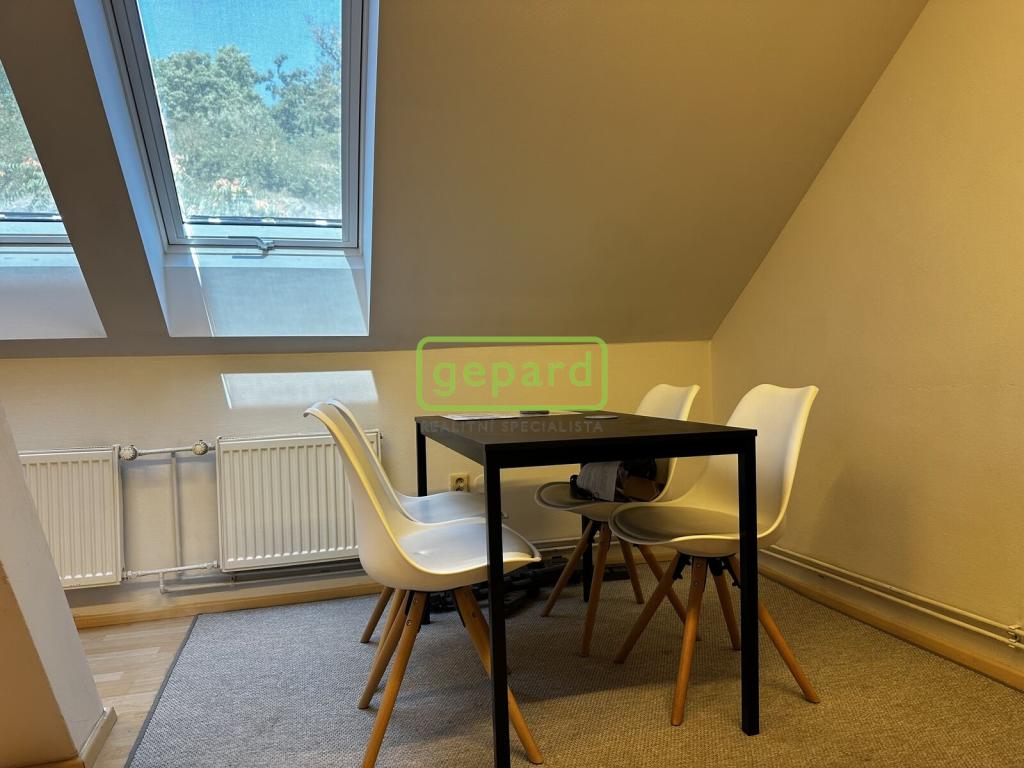 Pronájem bytu 1+1 55 m2
