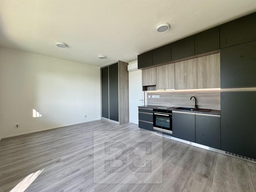 Pronájem bytu 1+kk 35 m2