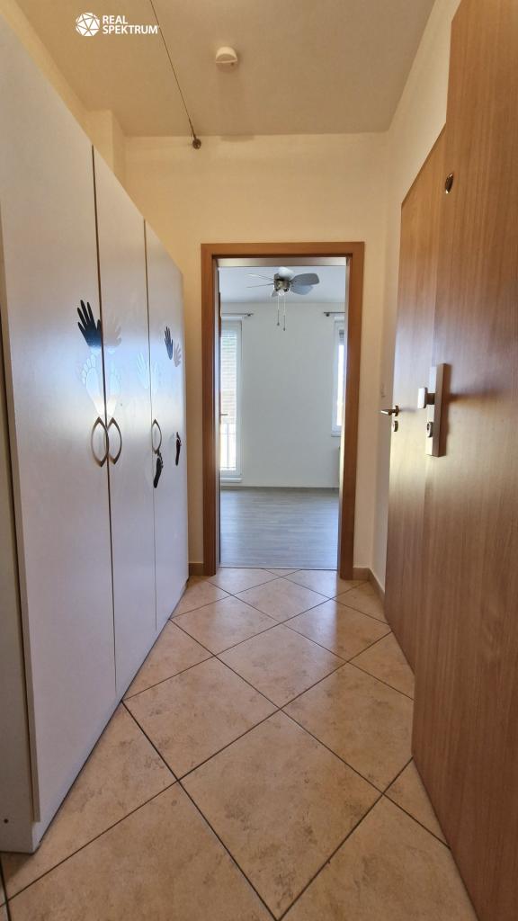 Pronájem bytu 1+kk 30 m2
