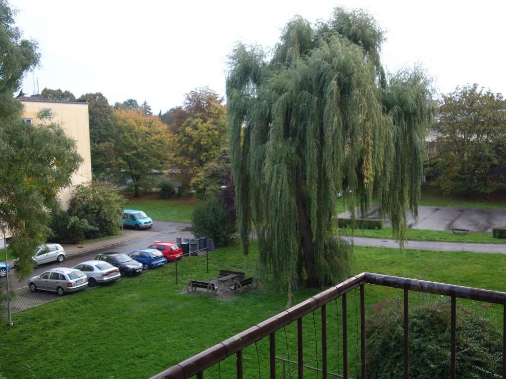 Pronajem bytu 2+1 57 m2