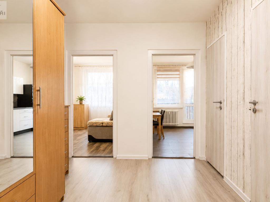 Pronájem bytu 1+1 45 m2