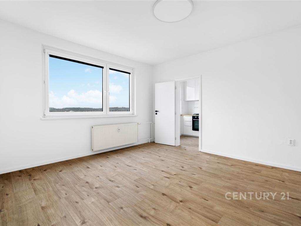 Pronájem bytu 2+1 44 m2