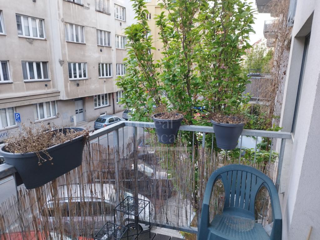 Pronájem bytu 2+kk 46 m2