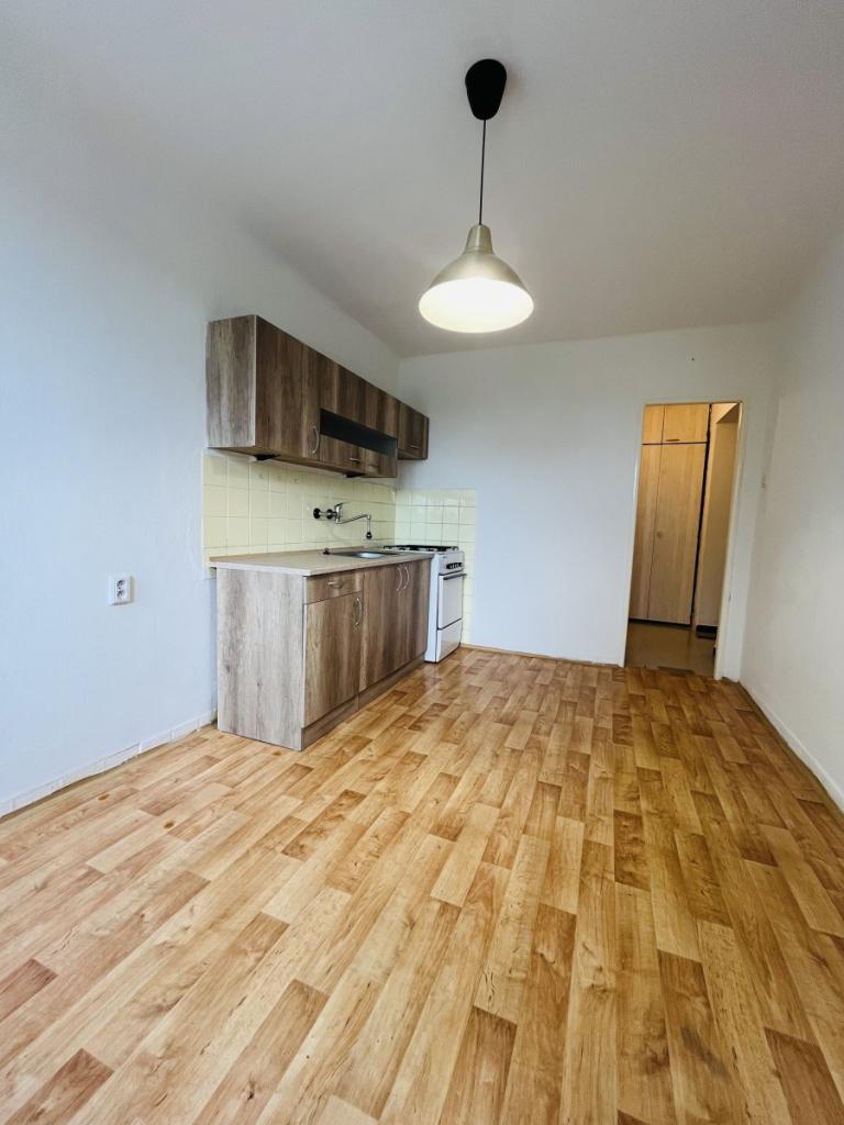 Pronájem bytu 1+1 36 m2