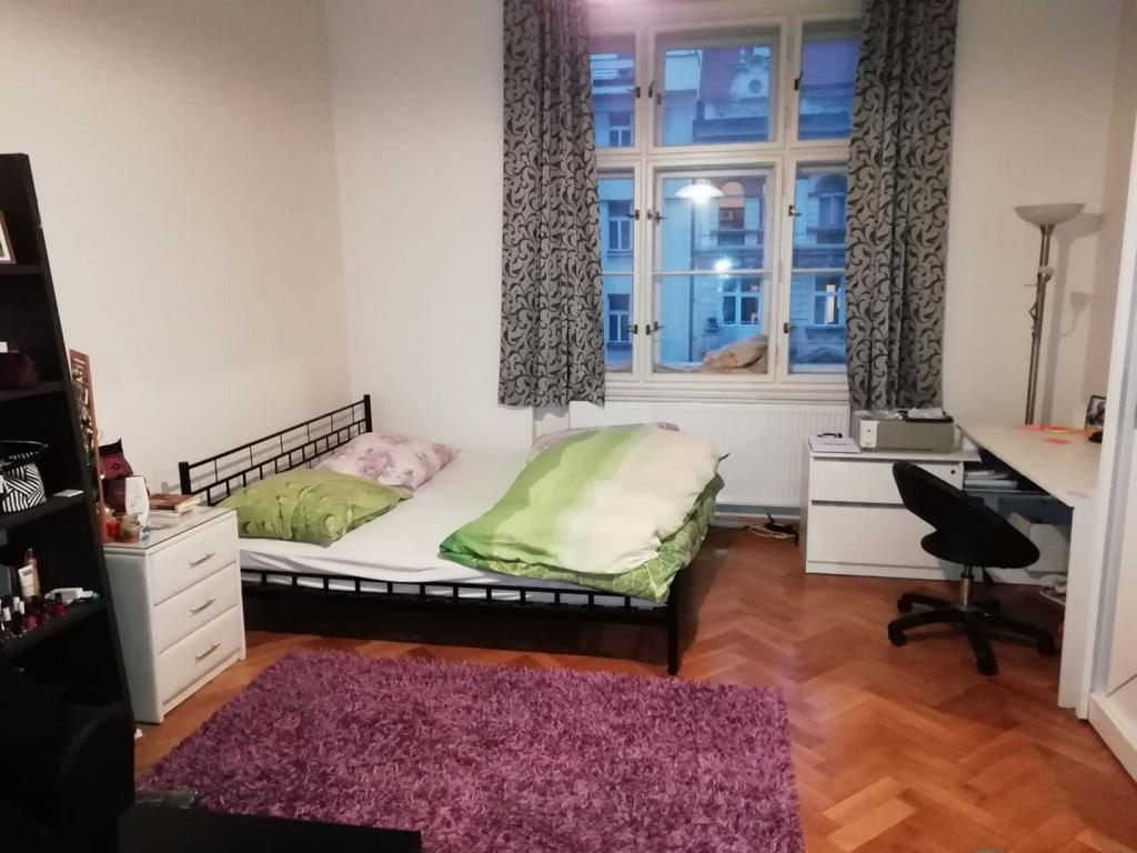 Spolubydleni bytu celý pokoj 126 m2