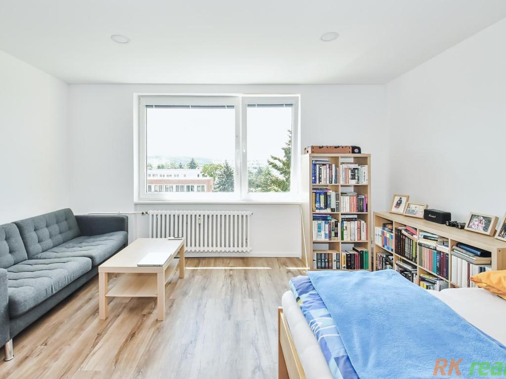 Pronájem bytu 1+1 40 m2