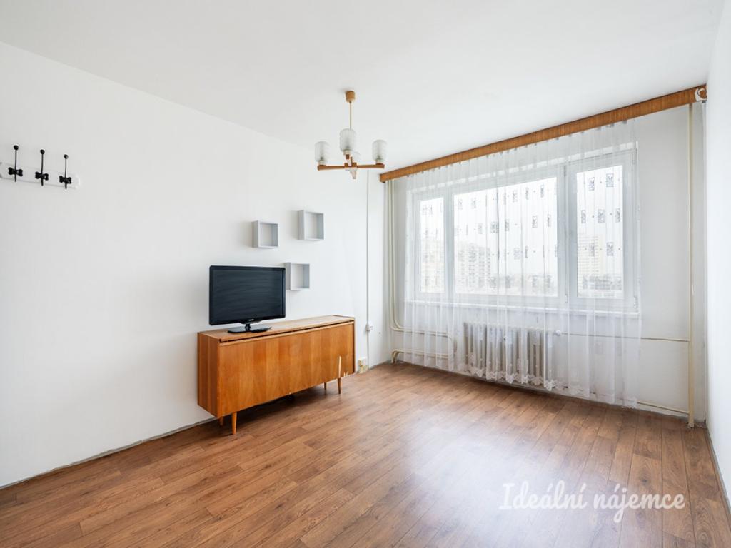 Pronájem bytu 1+1 45 m2