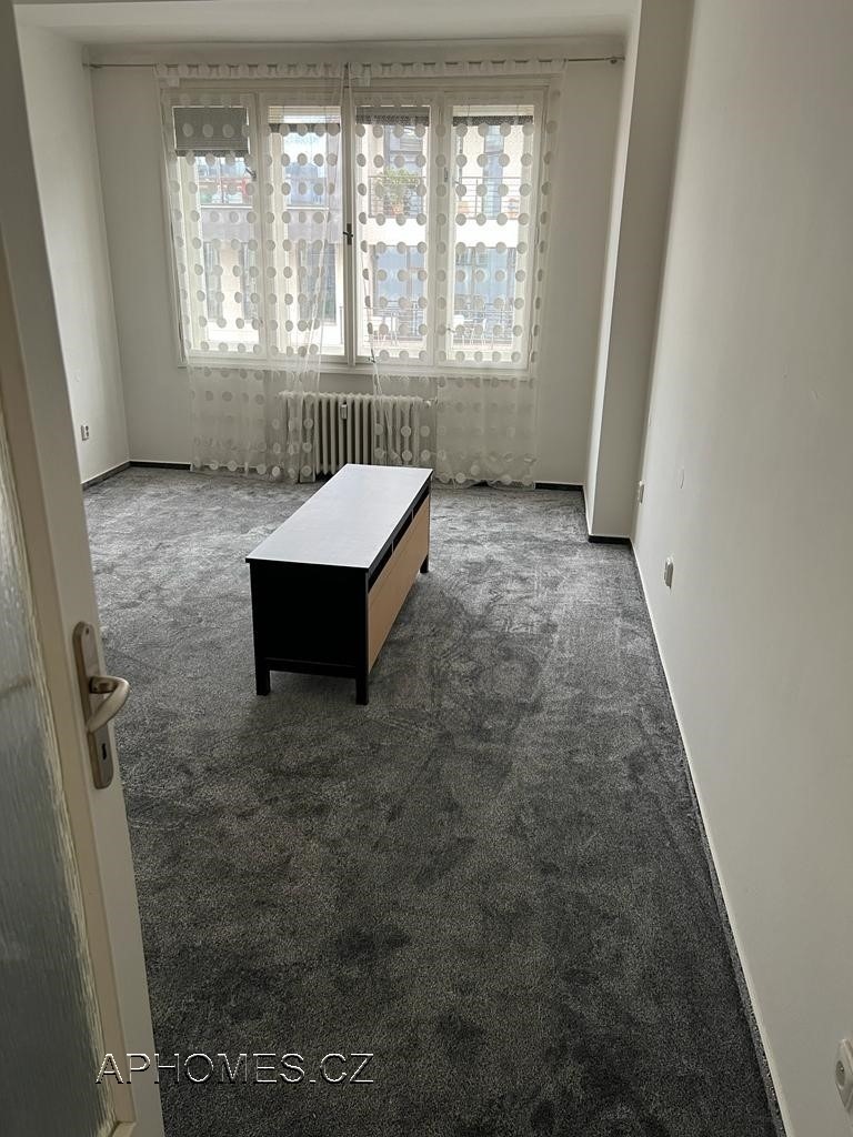 Pronájem bytu 1+1 46 m2, Praha – náhled fotky 4