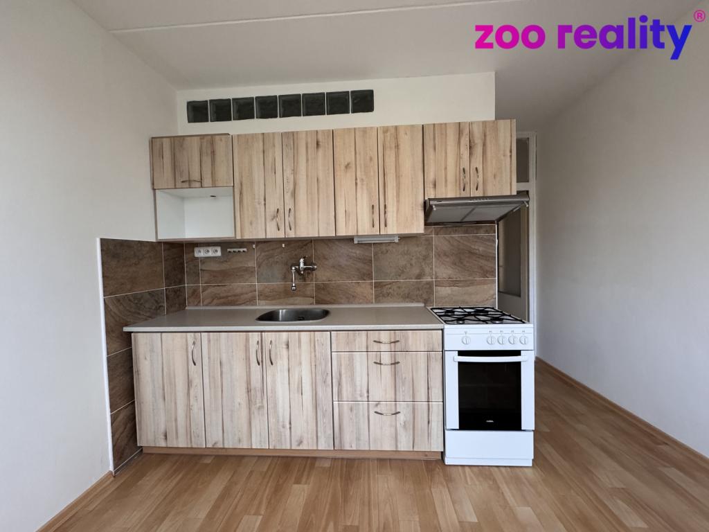 Pronájem bytu 1+1 40 m2