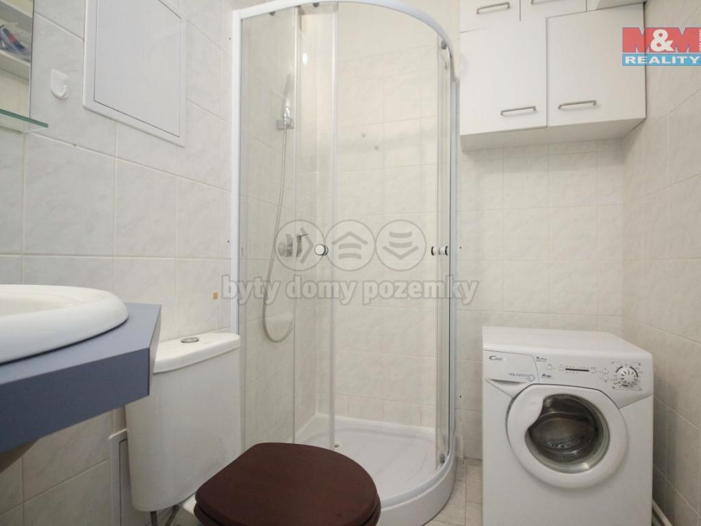 Pronajem bytu 1+kk 38 m2