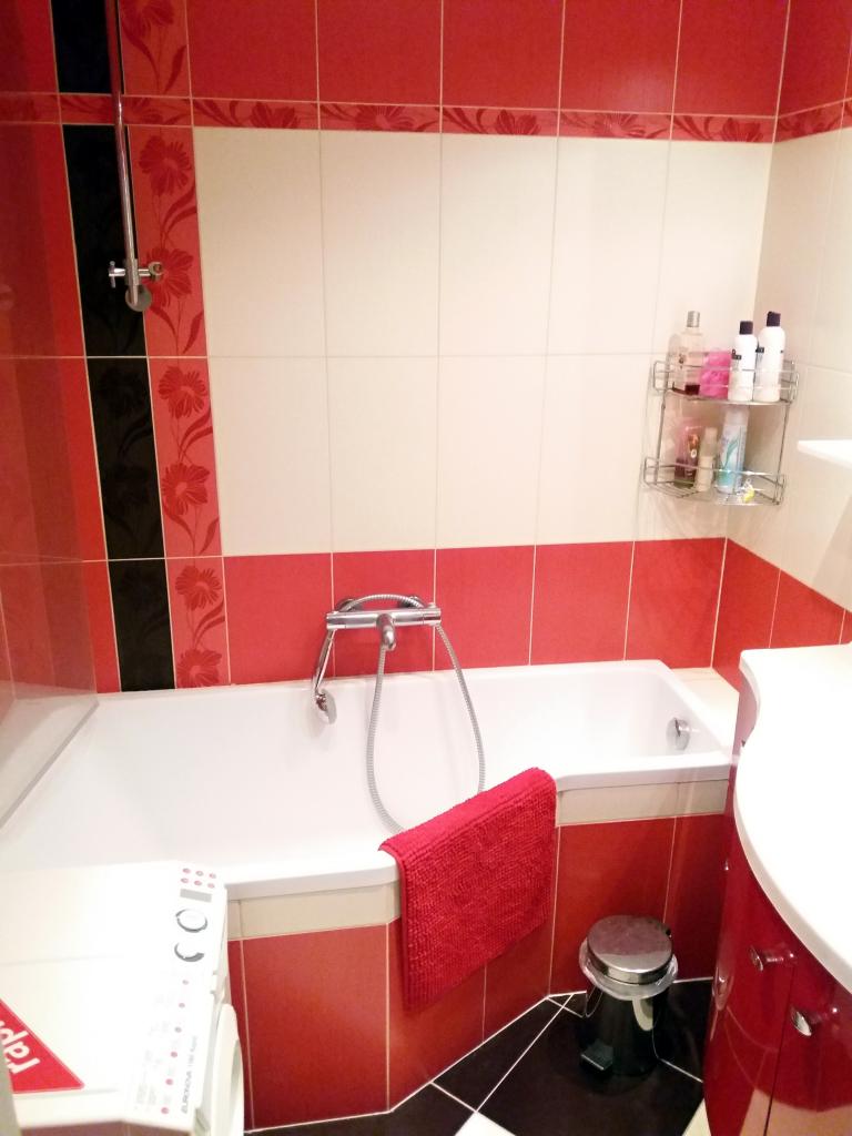 Pronajem bytu 2+1 53 m2