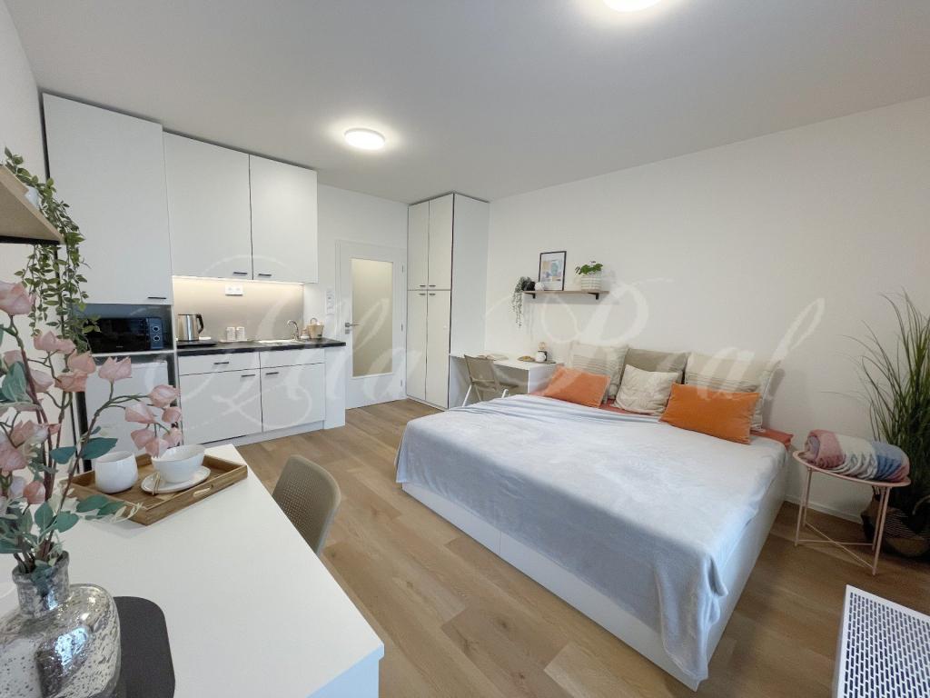 Pronájem bytu 1+kk 30 m2
