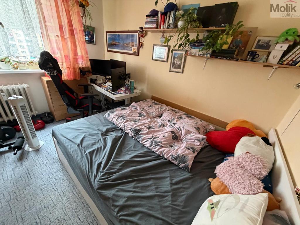 Prodej bytu 3+1 63 m2