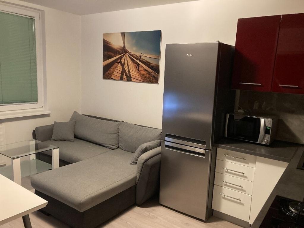 Pronájem bytu 1+1 46 m2