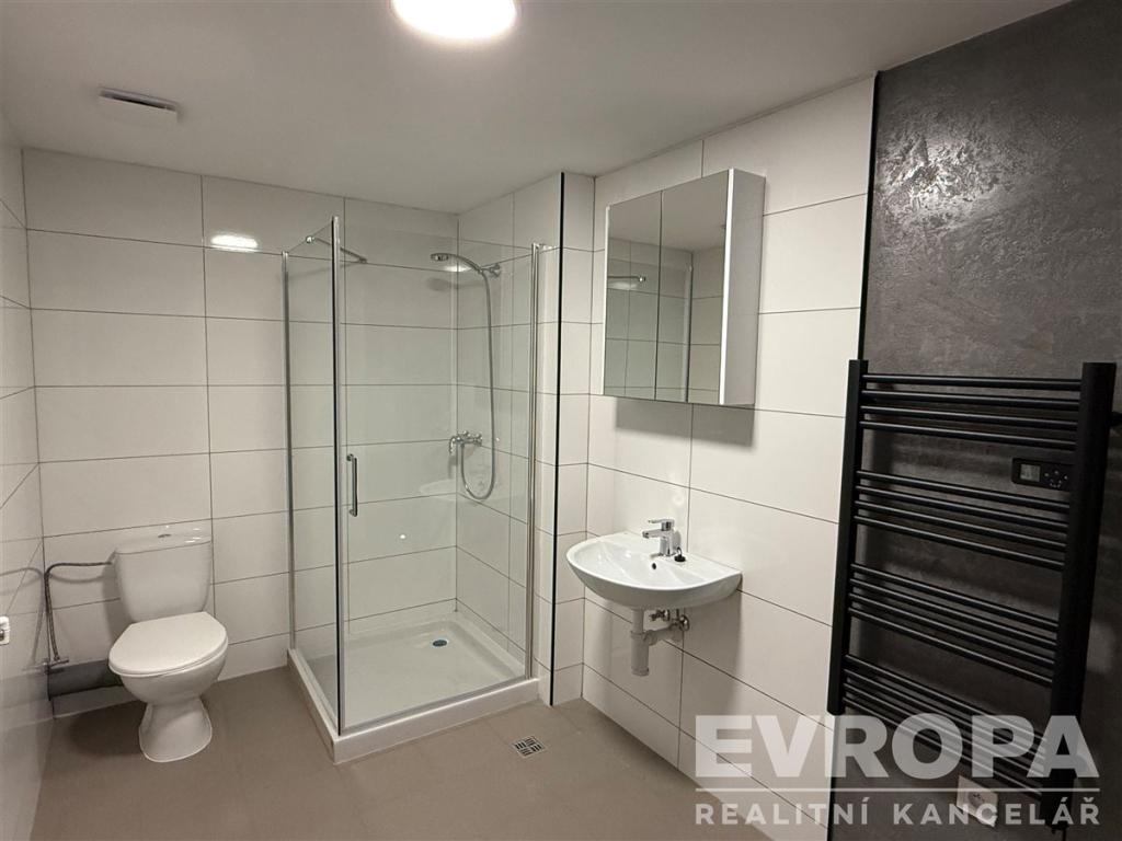 Pronájem bytu 1+1 40 m2