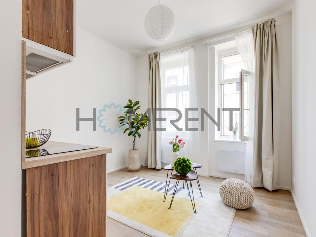 Pronájem bytu 1+kk 19 m2