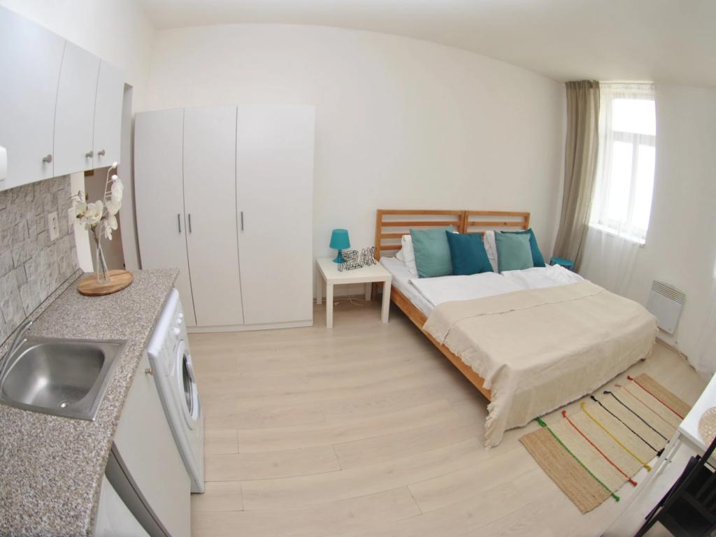 Pronájem bytu 1+kk 25 m2