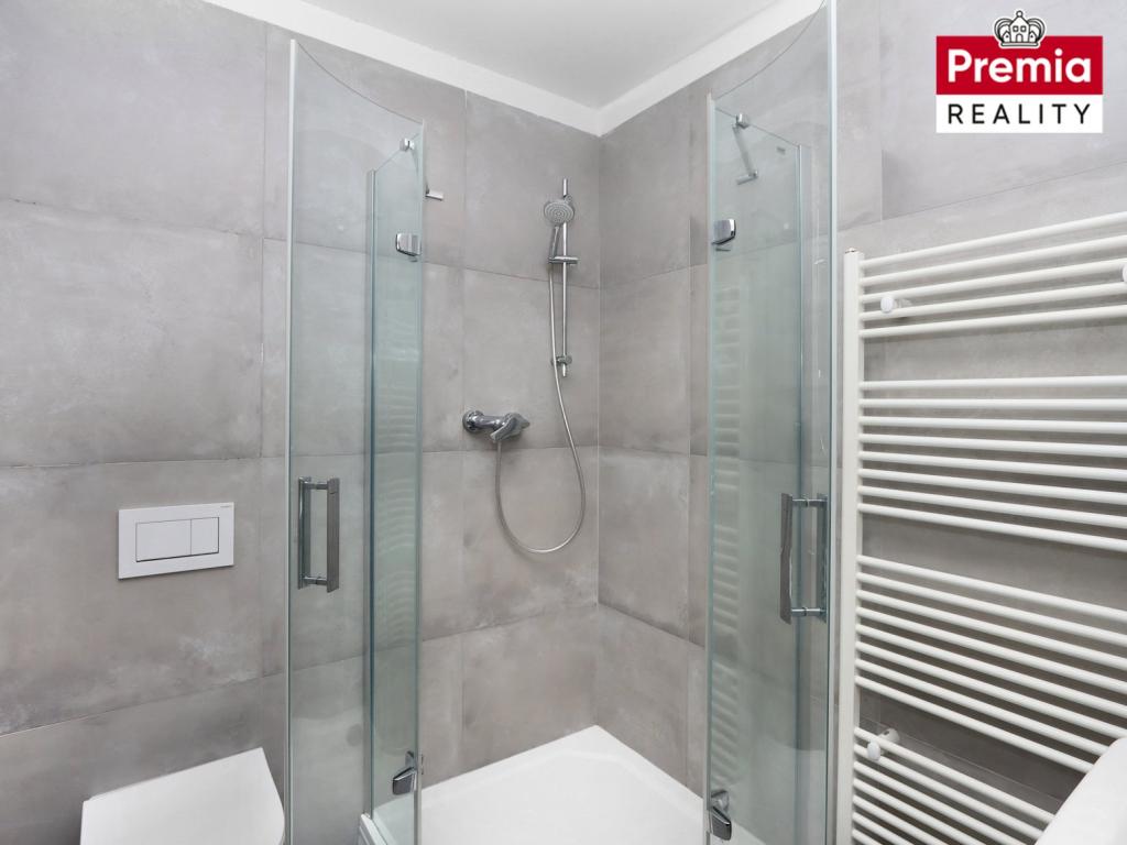 Pronájem bytu 1+1 45 m2