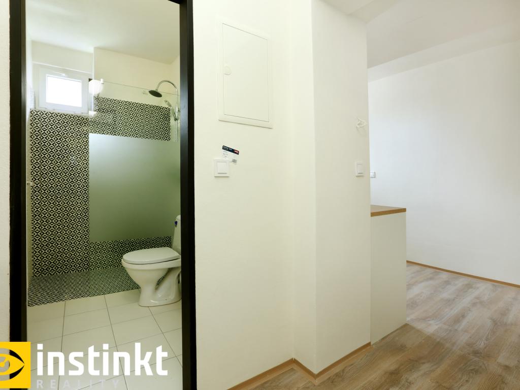 Pronájem bytu 1+1 33 m2